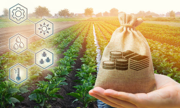 Agricultural financing and investment