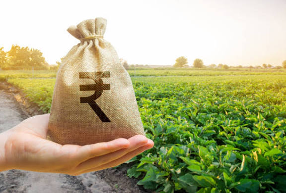 Agriculture Investment